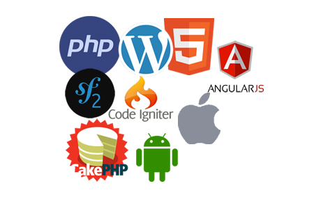 software